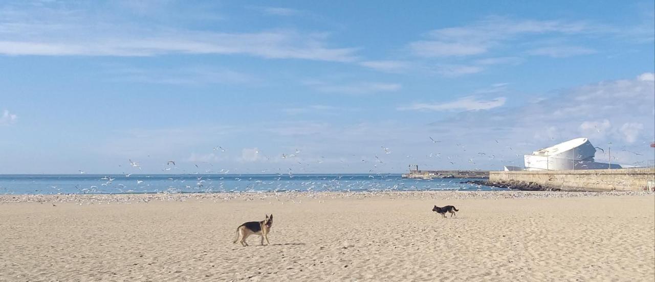 Apartmán Maria Sardinha_As Tres Marias Matosinhos  Exteriér fotografie